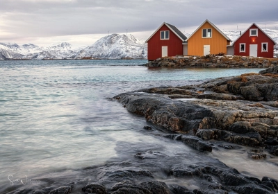 Photography Mentoring - Scott Williams